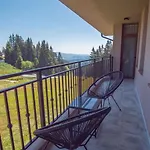 The Bear